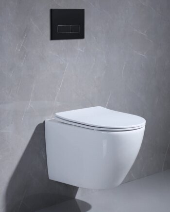 Space-Saving Toilet