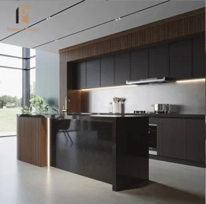 Black Matte Kitchen Cabinet