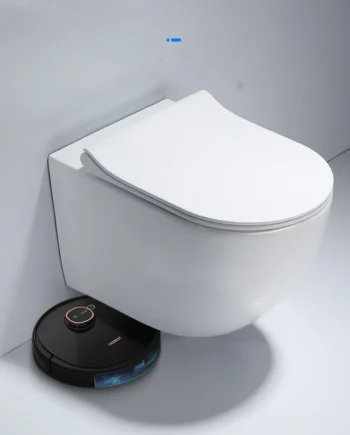Gravity Flush Toilet