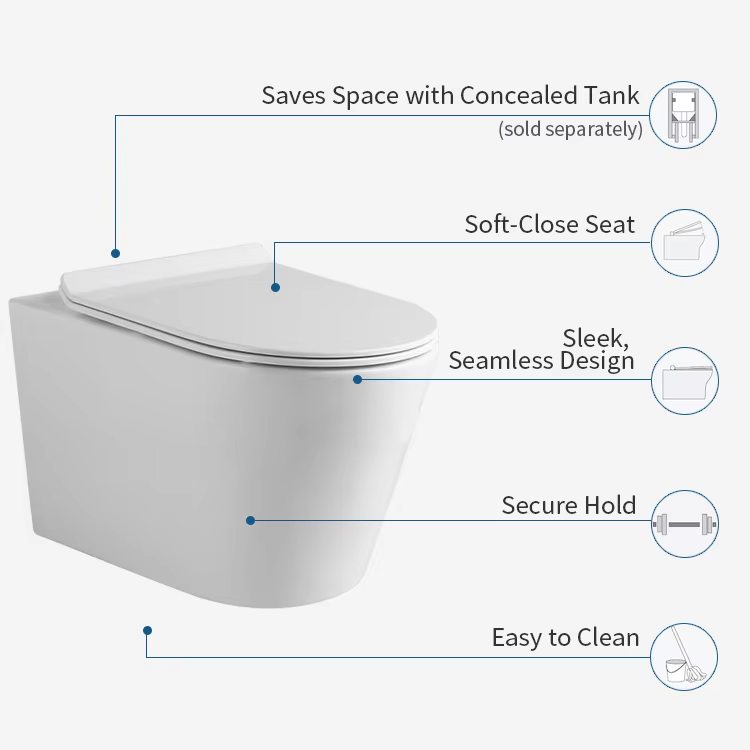 Back to Wall Hanging Toilet
