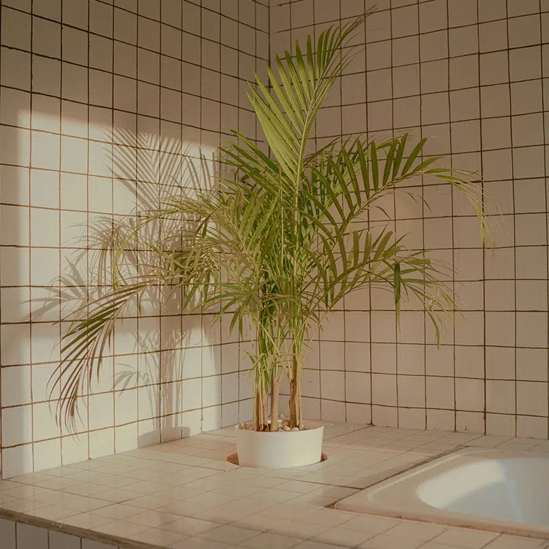 Bathroom - Palm Jumeirah Villa Renovation Company